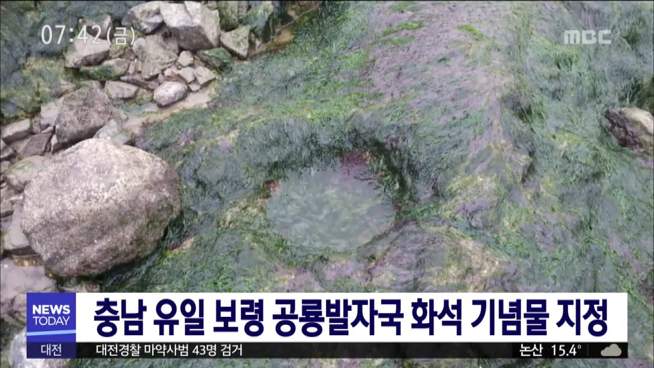 [0605 대전MBC뉴스]충남 유일 보령 공룡 발자국 화석 기념물 지정